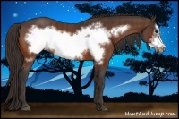 Horse Color:Bay Frame Brindle