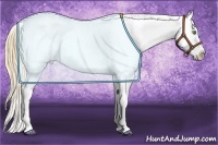 Horse Color:Gold Champagne Roan Dun Splash Tobiano Frame Blanket Rabicano Brindle
