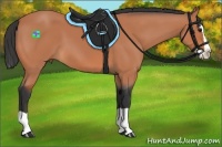 Horse Color:Bay Splash 