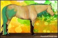 Horse Color:ERROR: UNKNOWN ANOMALY Brindle