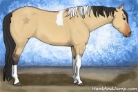 Horse Color:Bay Dun Tobiano 
