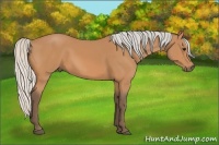 Horse Color:Silver Bay
