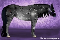 Horse Color:ERROR: UNKNOWN ANOMALY Brindle