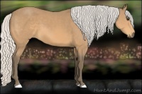 Horse Color:Silver Buckskin 