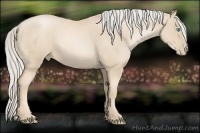 Horse Color:Palomino Roan Pearl 