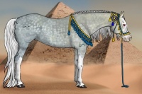 Horse Color:Silver Grullo Chinchilla Ice Splash 
