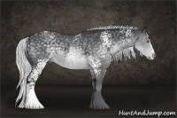 Horse Color:White Spotted Silver Black Chinchilla Sabino Splash