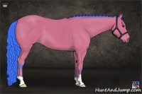 Horse Color:Watercolor Bay 