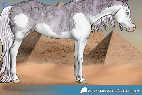 Horse Color:Watercolor Gold Cream Champagne Ice Dun Splash Rabicano 