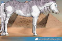 Horse Color:Watercolor Gold Cream Champagne Ice Dun Splash Rabicano
