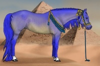 Horse Color:Watercolor Bay 