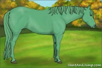 Horse Color:Watercolor Liver Chestnut 