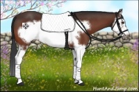 Horse Color:Bay Splash Frame