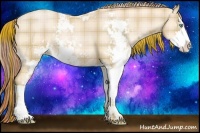 Horse Color:Plaid Buckskin Pearl Sabino Rabicano