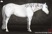 Horse Color:White Spotted Brown Dun Splash Tobiano
