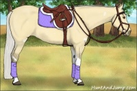 Horse Color:White Spotted Silver Buckskin Dun Tobiano 