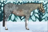 Horse Color:Brown Ice Tobiano 