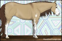 Horse Color:Liver Red Dun Sabino 