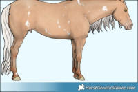 Horse Color:White Spotted Silver Sable Champagne 