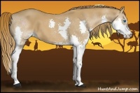 Horse Color:Chestnut Splash 