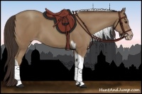 Horse Color:Classic Champagne Tobiano