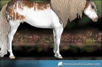 Horse Color:Chocolate Palomino Splash Frame  and Chocolate Palomino Splash Frame 