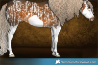 Horse Color:Chocolate Palomino Splash Frame  and Chocolate Palomino Splash Frame 