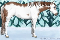 Horse Color:Red Roan Splash Frame 