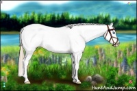 Horse Color:Chestnut Splash Tobiano Snowcap 