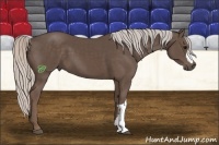 Horse Color:Silver Black 