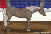 Horse Color:Silver Black 