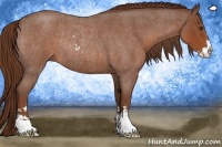 Horse Color:Red Roan Sabino Rabicano 
