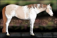 Horse Color:White Spotted Smoky Black Pearl 