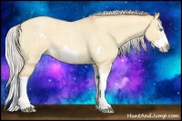 Horse Color:Silver Amber Champagne Roan Dun Splash Frame