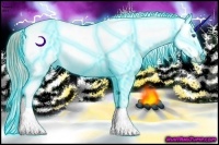 Horse Color:Thunderstruck Buckskin Pearl Splash Appaloosa 