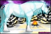 Horse Color:Thunderstruck Liver Chestnut Sabino Splash Appaloosa 