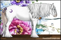 Horse Color:Buckskin Pearl Appaloosa