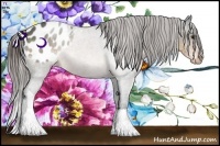 Horse Color:Buckskin Appaloosa