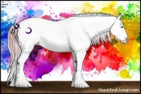 Horse Color:Watercolor Perlino Sabino Appaloosa Rabicano 