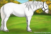 Horse Color:White Spotted Smoky Creme Dun Appaloosa 