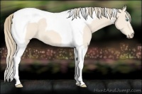 Horse Color:Perlino Tobiano 