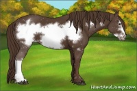 Horse Color:Liver Chestnut Frame