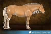 Horse Color:White Spotted Palomino Rabicano