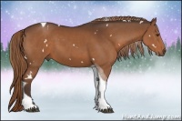 Horse Color:White Spotted Liver Chestnut Tobiano Rabicano