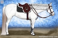 Horse Color:Chestnut Frame Appaloosa