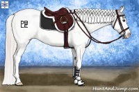 Horse Color:Silver Bay Roan Dun Appaloosa 