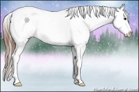 Horse Color:Bay Roan Snowcap 