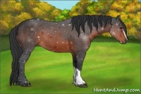 Horse Color:Brown 