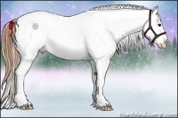 Horse Color:Buckskin Blanket 