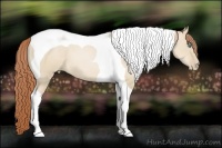 Horse Color:Smoky Grullo Pearl Tobiano